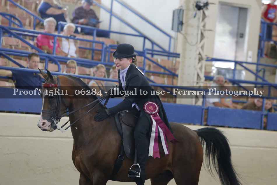 Proof 15R11_06284