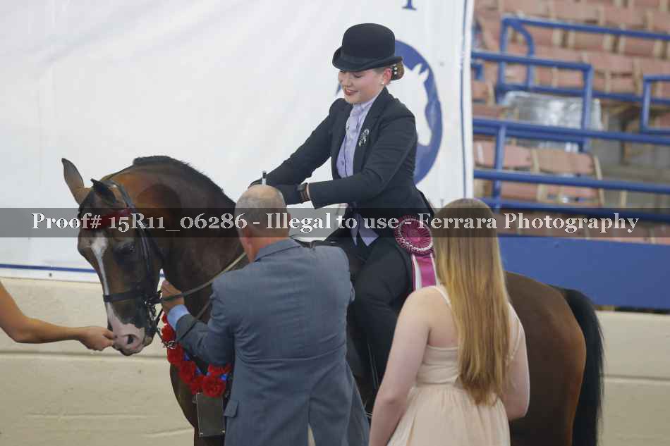 Proof 15R11_06286