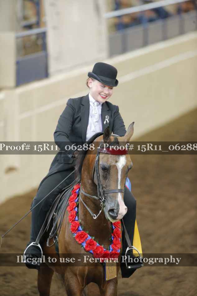 Proof 15R11_06288