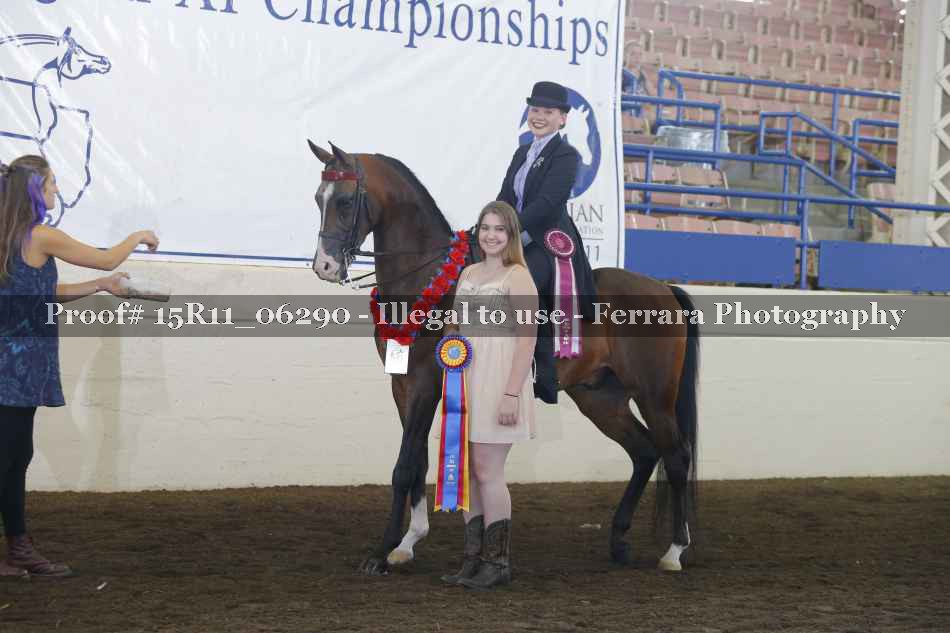 Proof 15R11_06290
