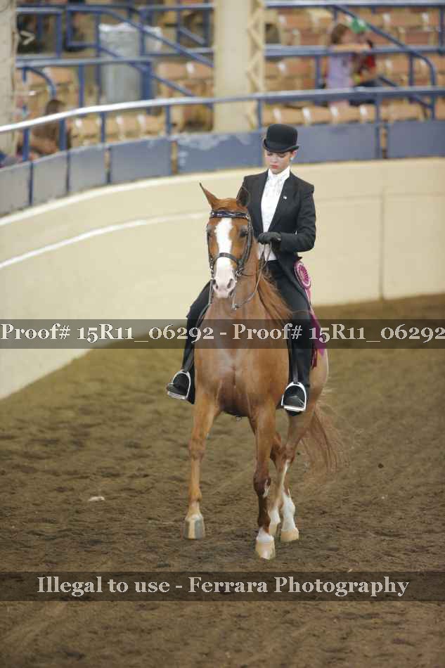 Proof 15R11_06292