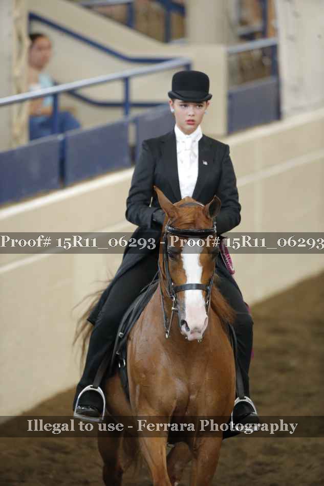 Proof 15R11_06293