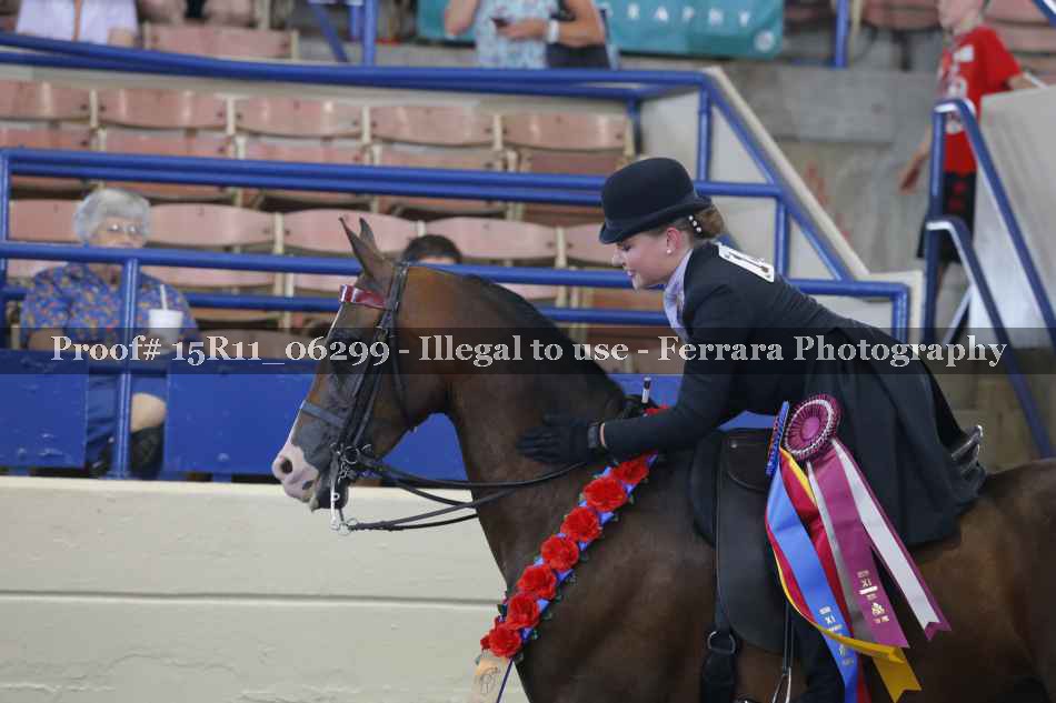 Proof 15R11_06299