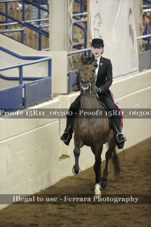Proof 15R11_06300