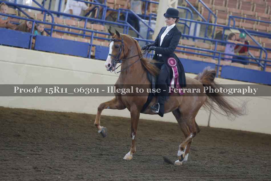 Proof 15R11_06301