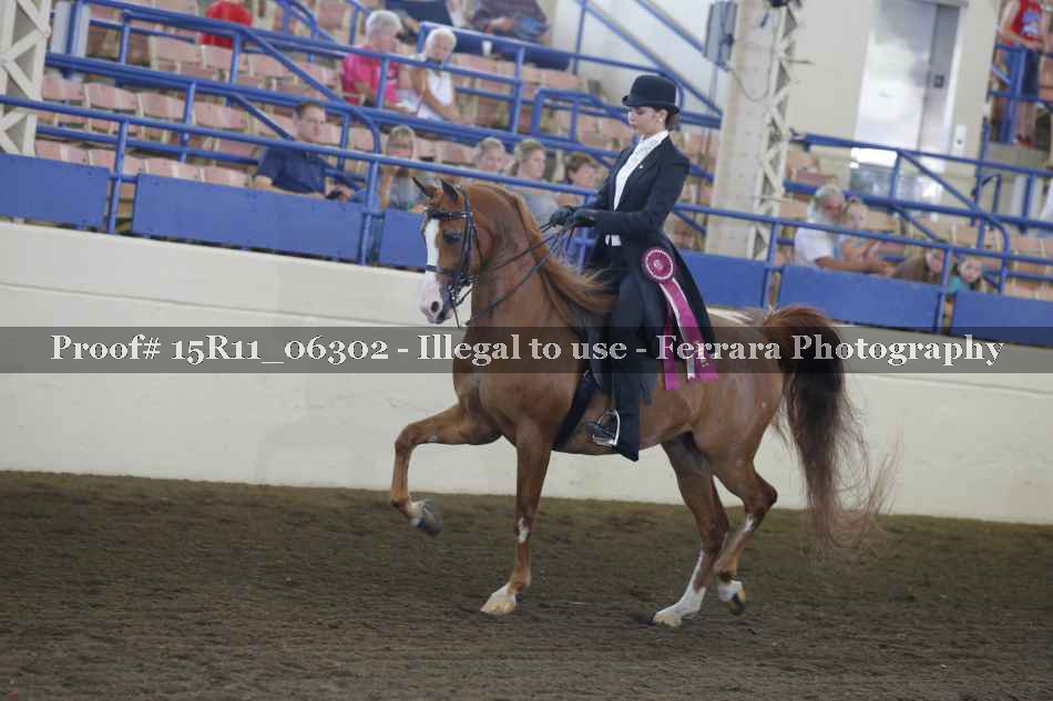 Proof 15R11_06302