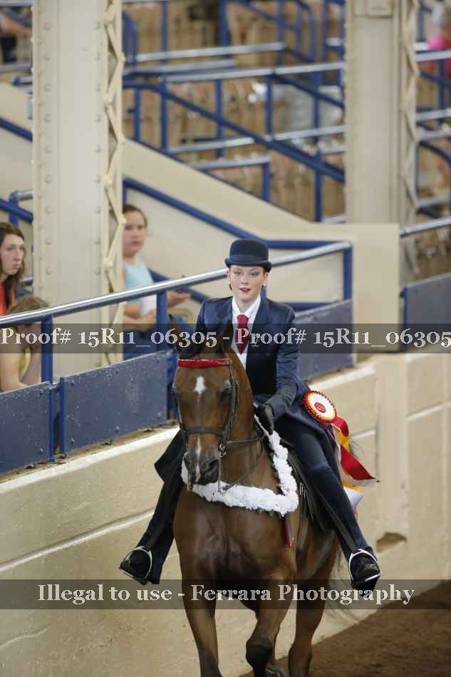 Proof 15R11_06305