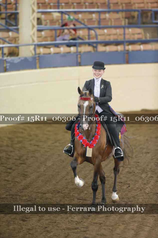 Proof 15R11_06306