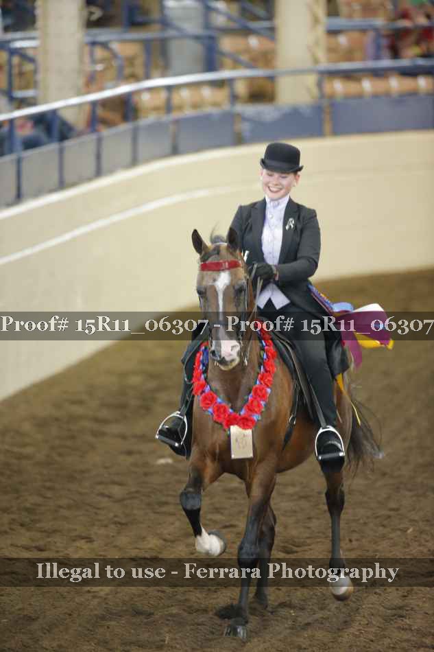Proof 15R11_06307