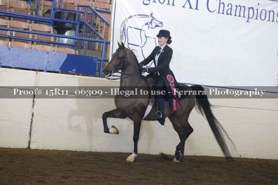 Proof 15R11_06309