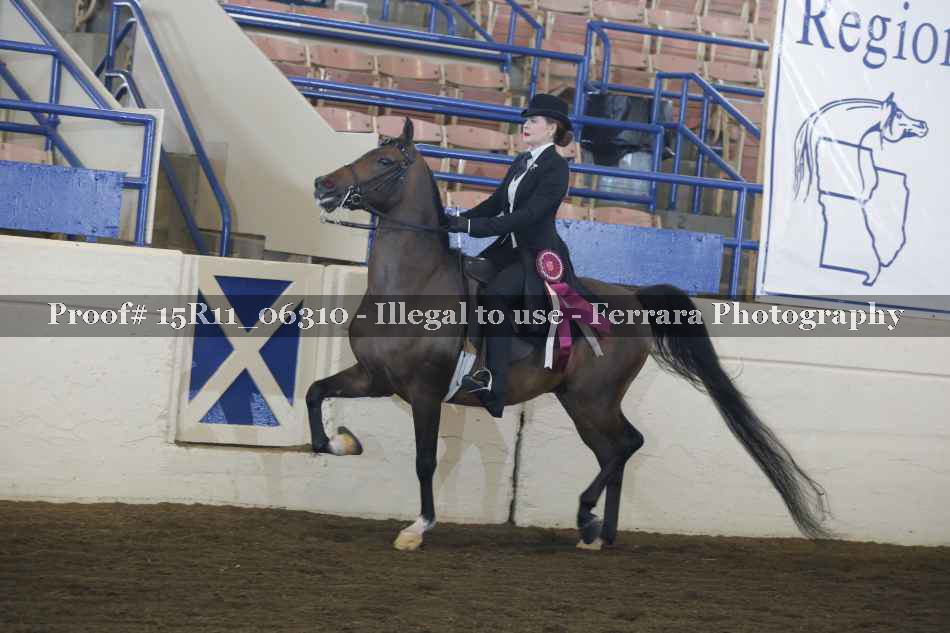 Proof 15R11_06310