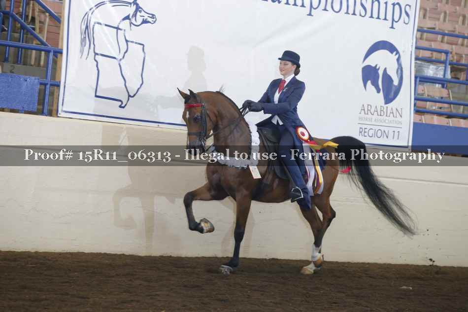 Proof 15R11_06313