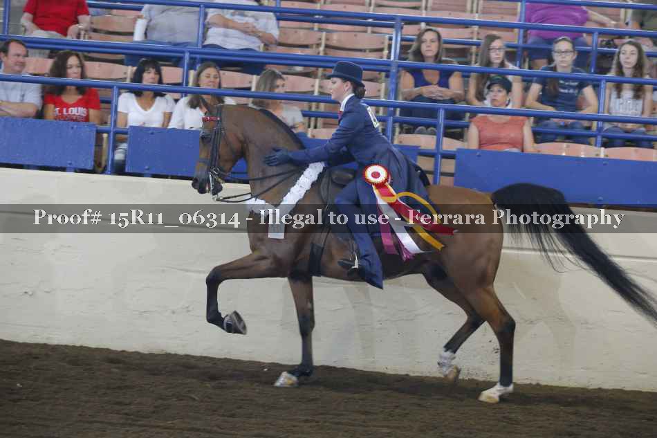 Proof 15R11_06314