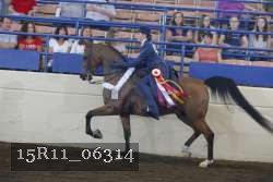 15R11_06314 proof