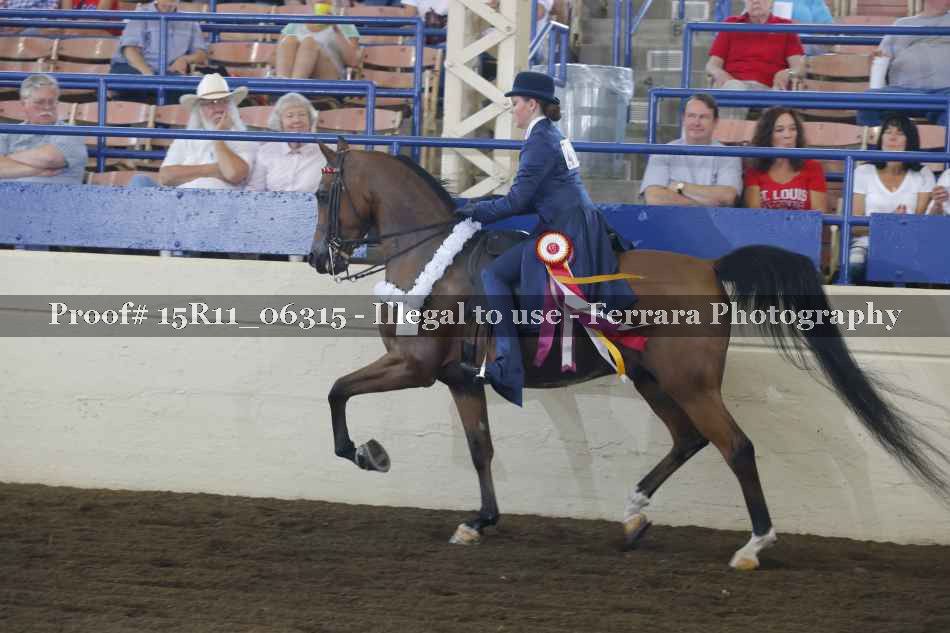 Proof 15R11_06315