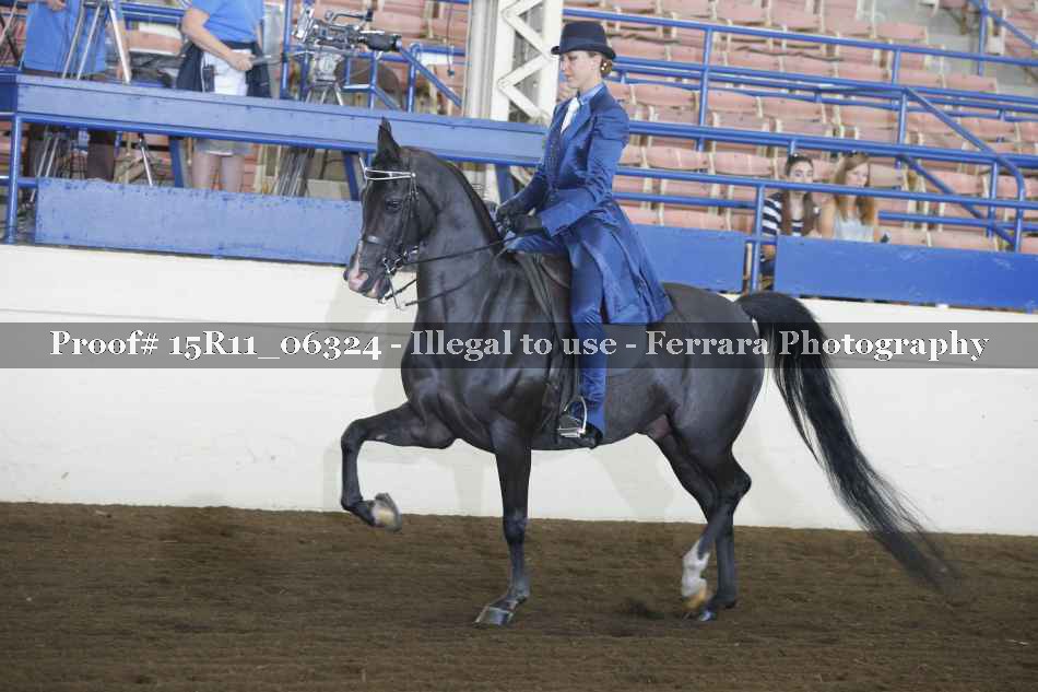Proof 15R11_06324
