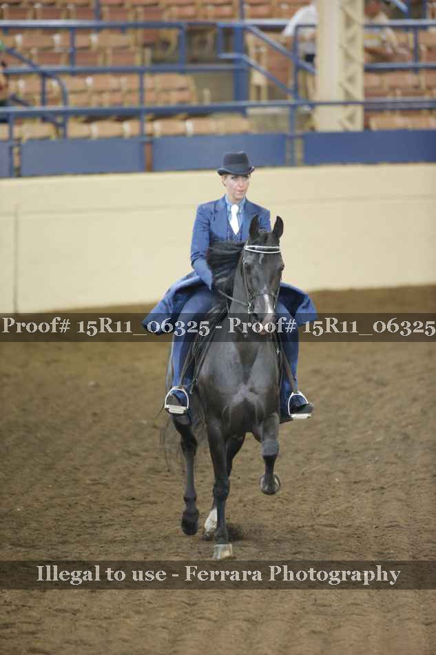 Proof 15R11_06325