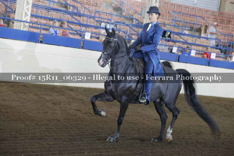 Proof 15R11_06329