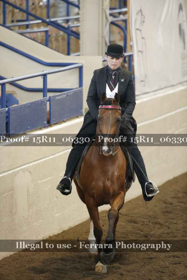 Proof 15R11_06330