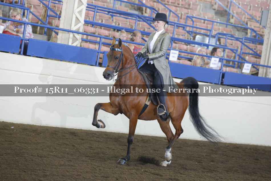 Proof 15R11_06331