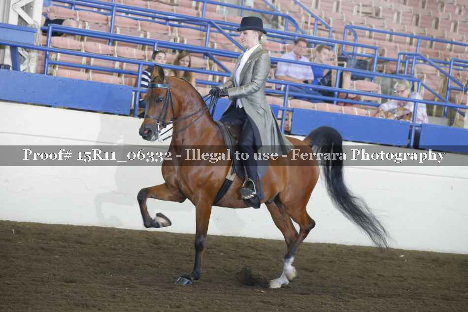 Proof 15R11_06332