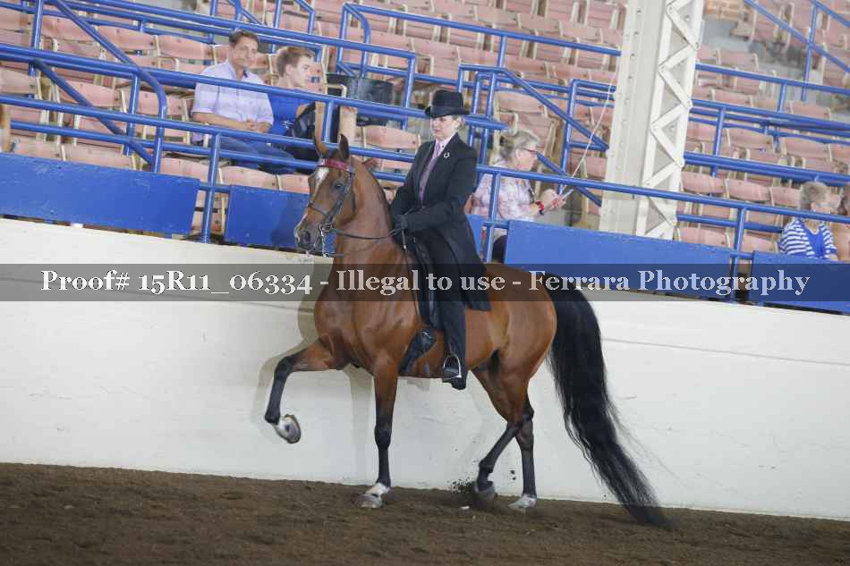 Proof 15R11_06334