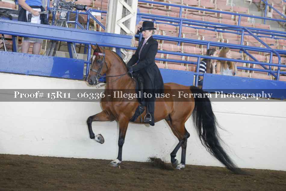 Proof 15R11_06336
