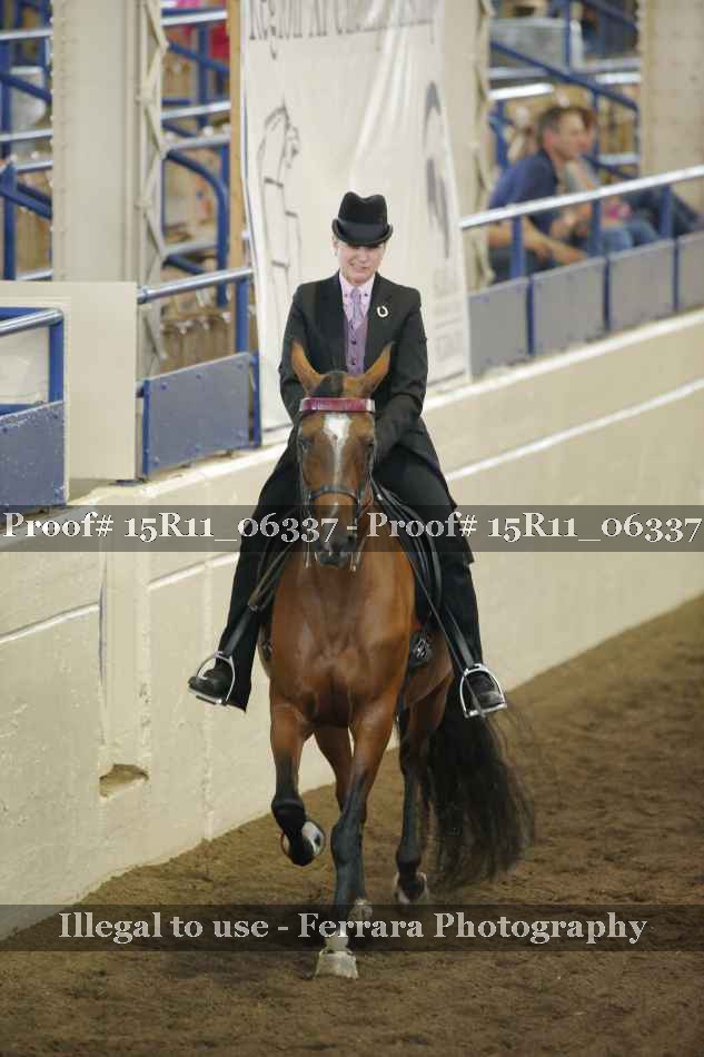 Proof 15R11_06337