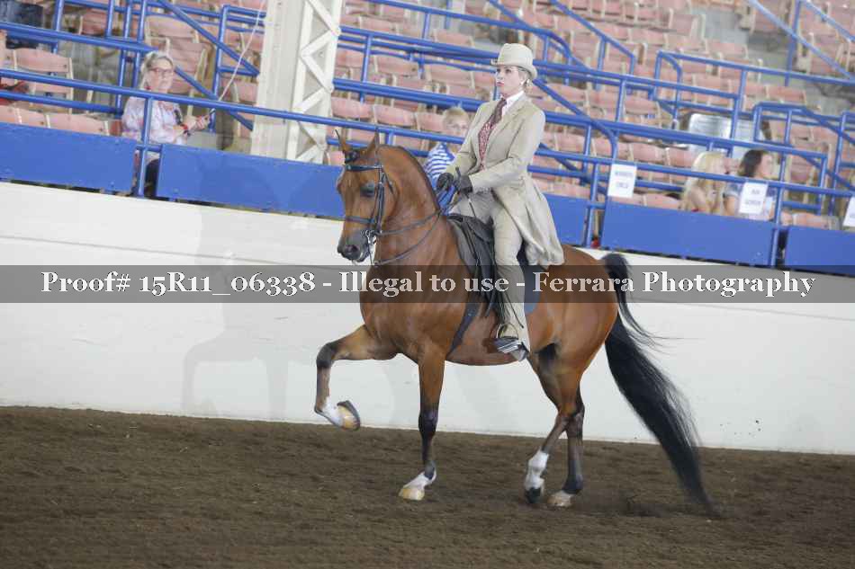 Proof 15R11_06338