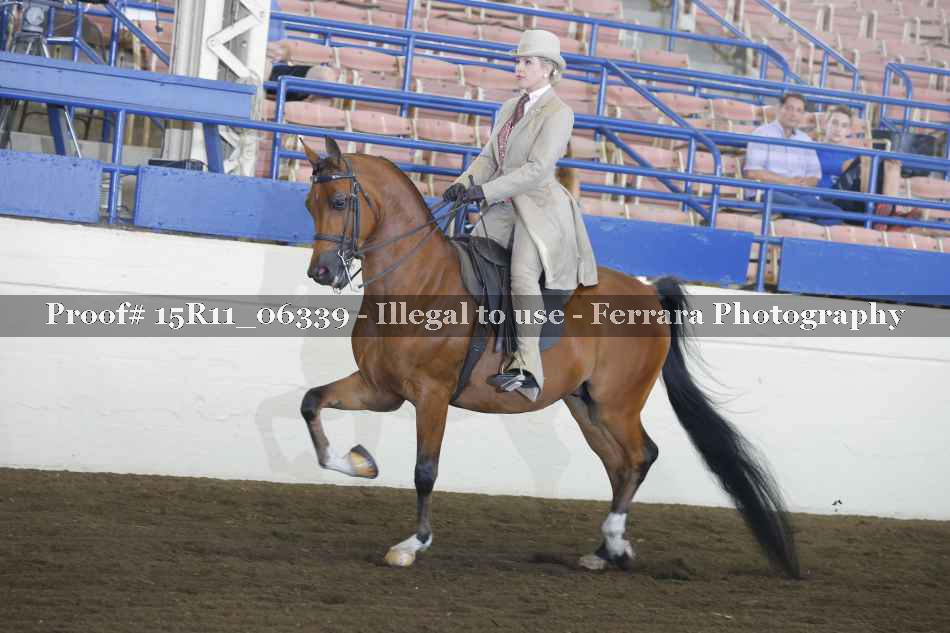 Proof 15R11_06339