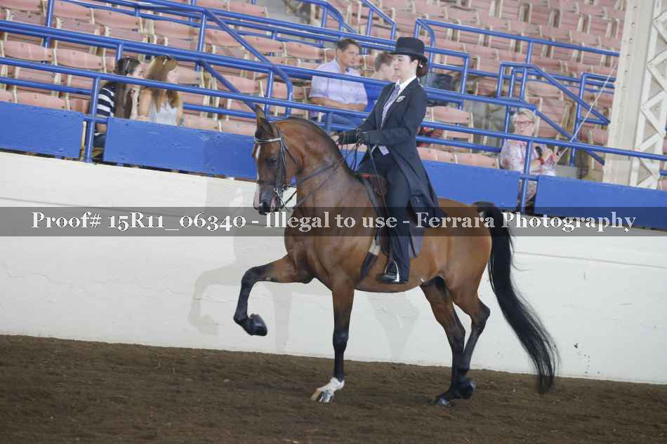 Proof 15R11_06340