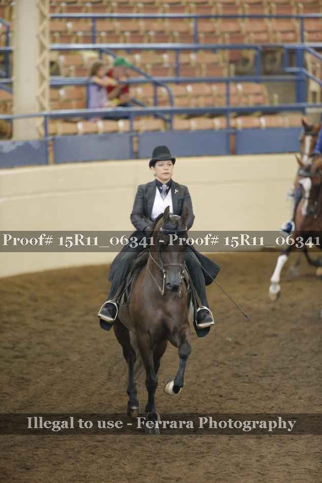 Proof 15R11_06341