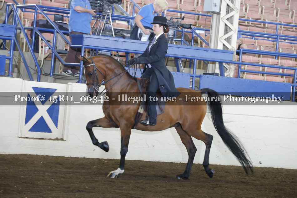 Proof 15R11_06342