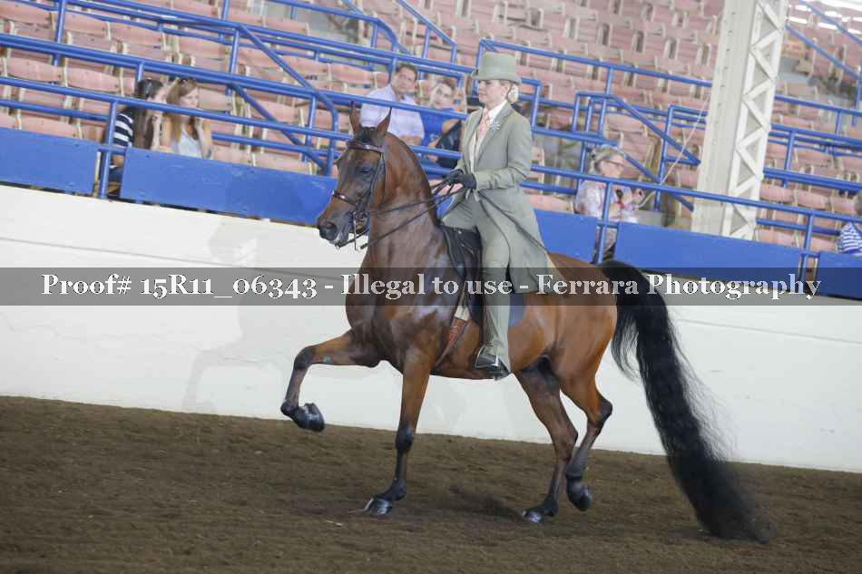 Proof 15R11_06343