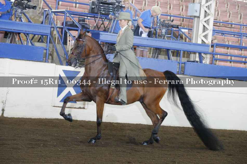 Proof 15R11_06344