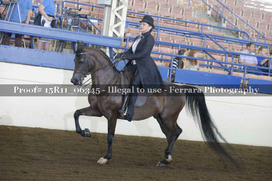 Proof 15R11_06345