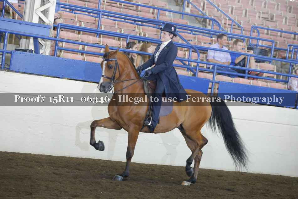 Proof 15R11_06346