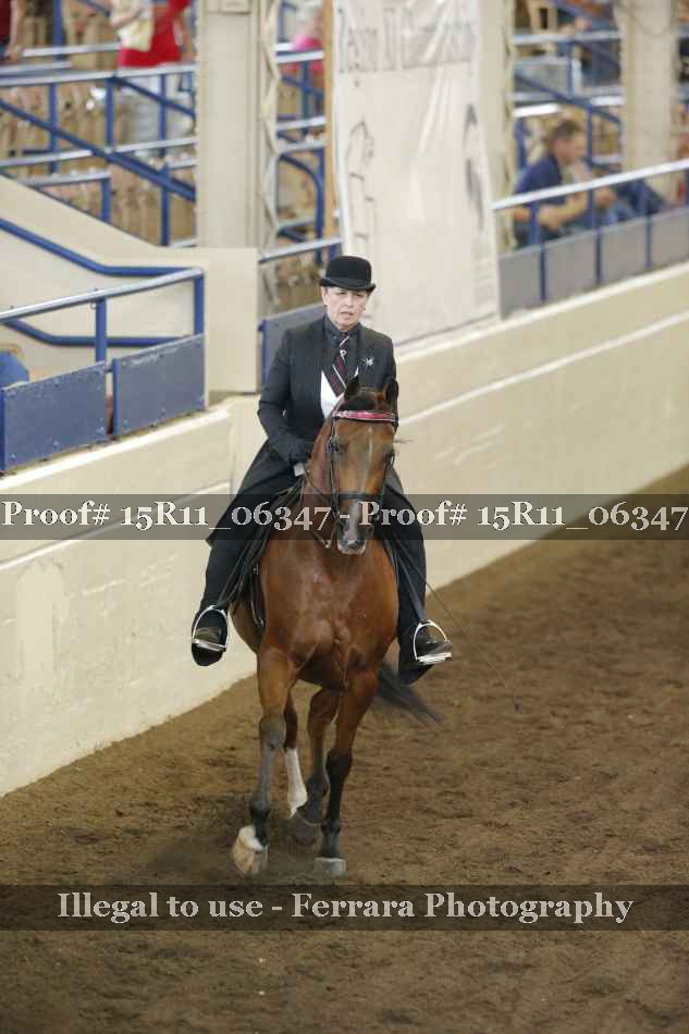 Proof 15R11_06347