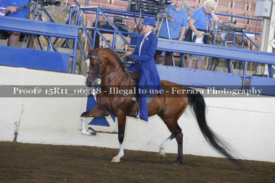 Proof 15R11_06348