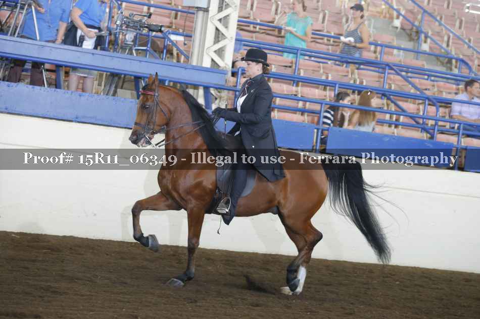 Proof 15R11_06349