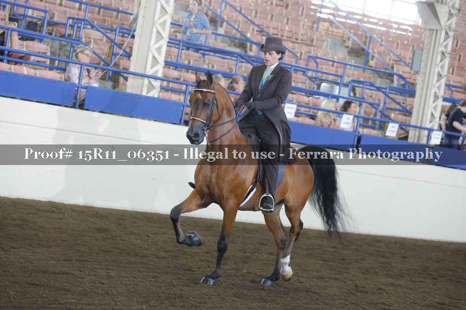 Proof 15R11_06351