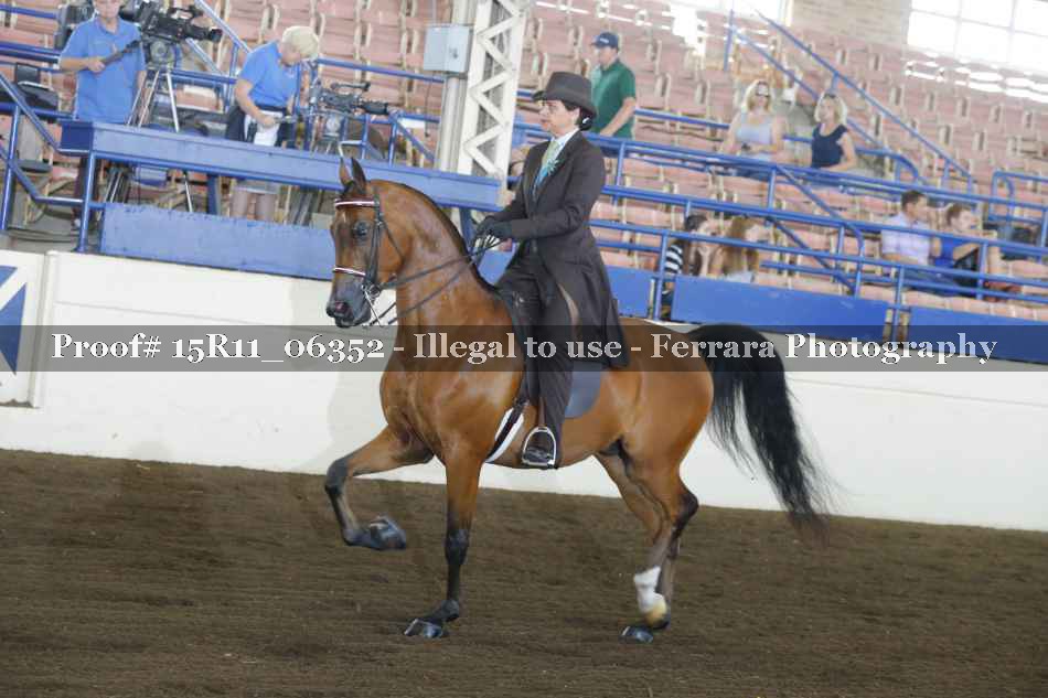 Proof 15R11_06352