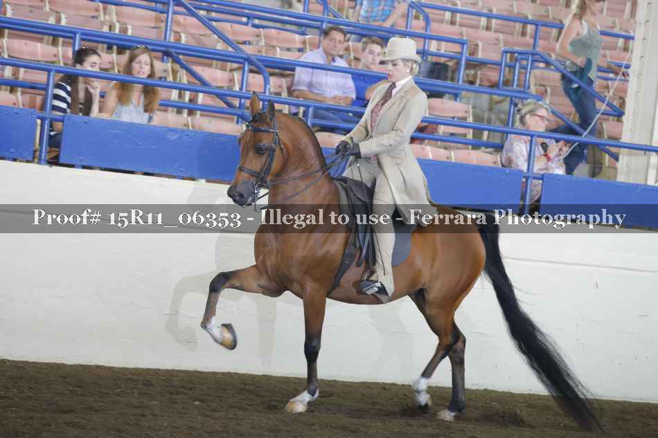 Proof 15R11_06353