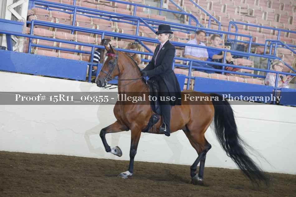Proof 15R11_06355