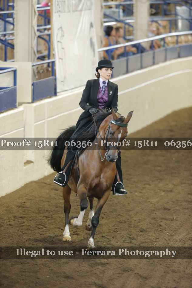 Proof 15R11_06356