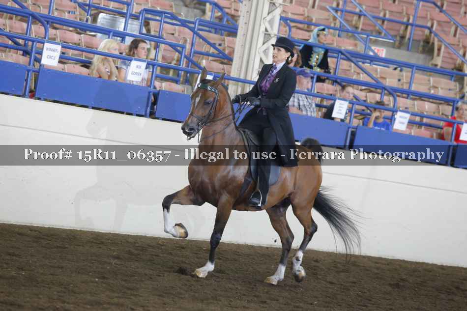 Proof 15R11_06357