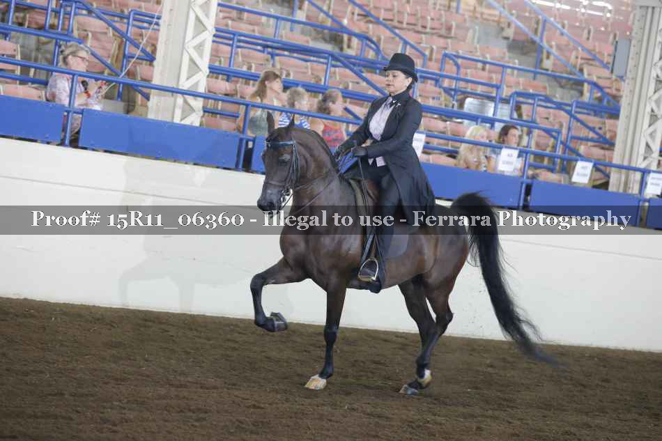 Proof 15R11_06360