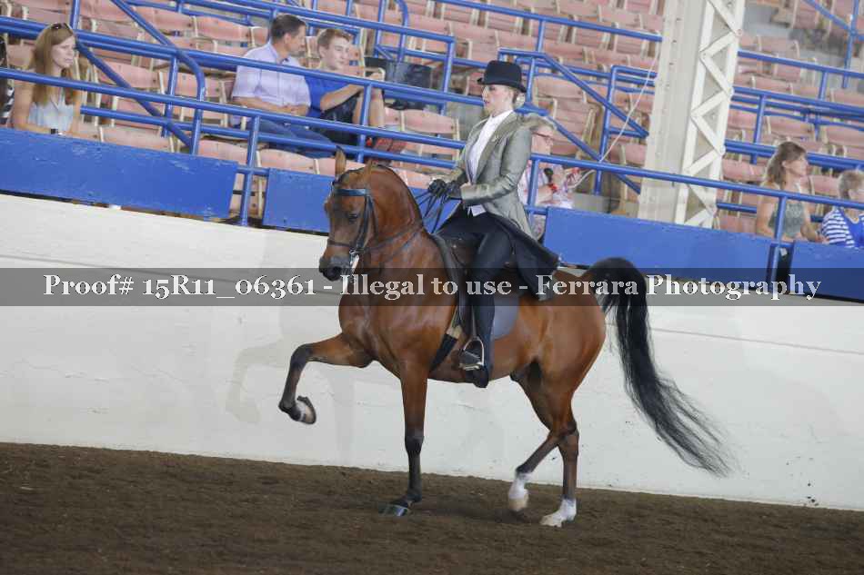 Proof 15R11_06361