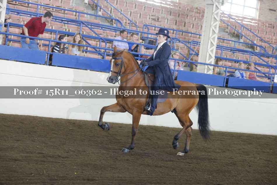 Proof 15R11_06362