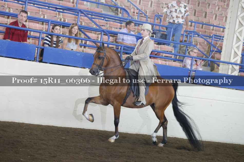 Proof 15R11_06366
